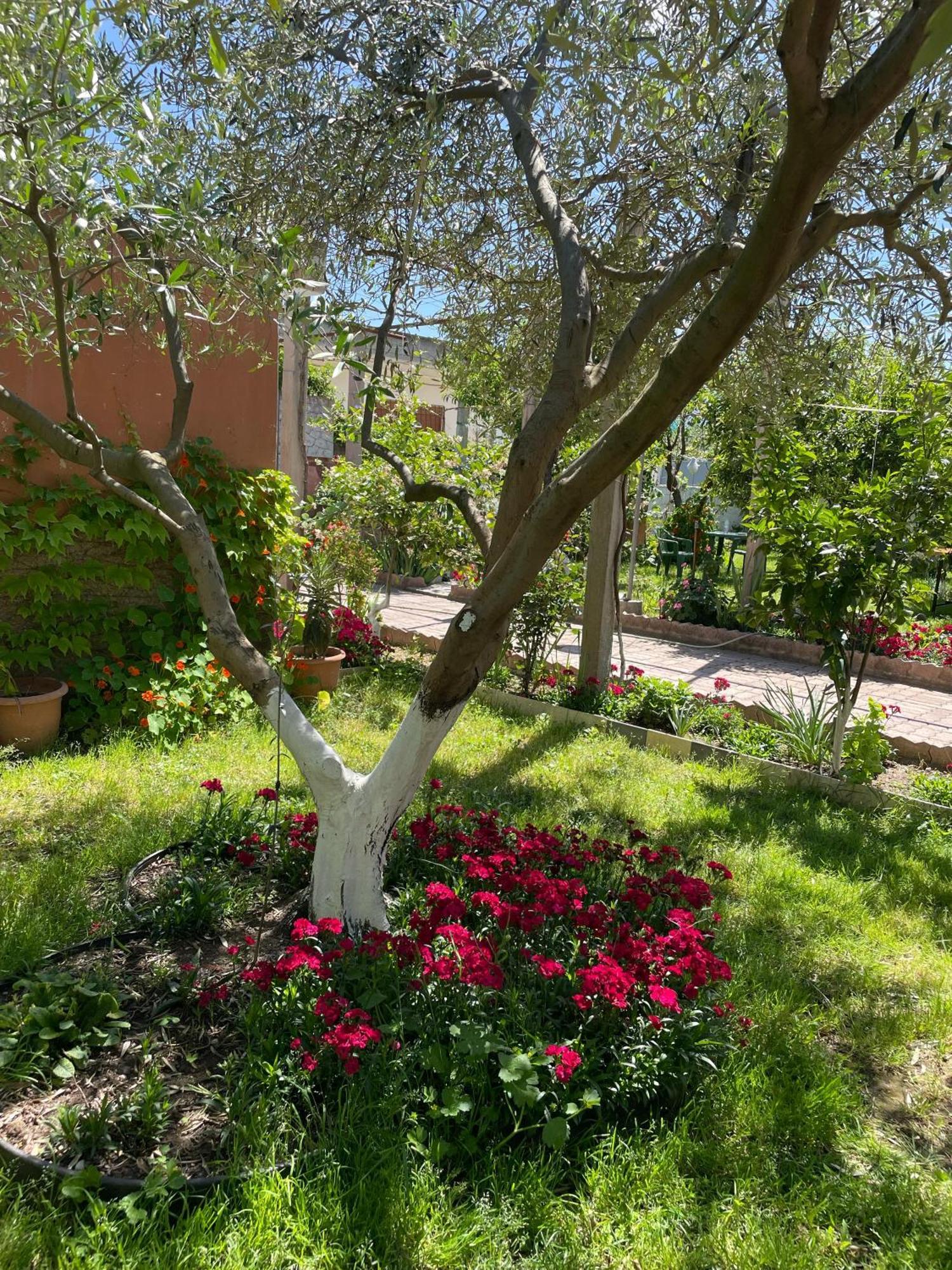 Miracle Garden * Vlorë