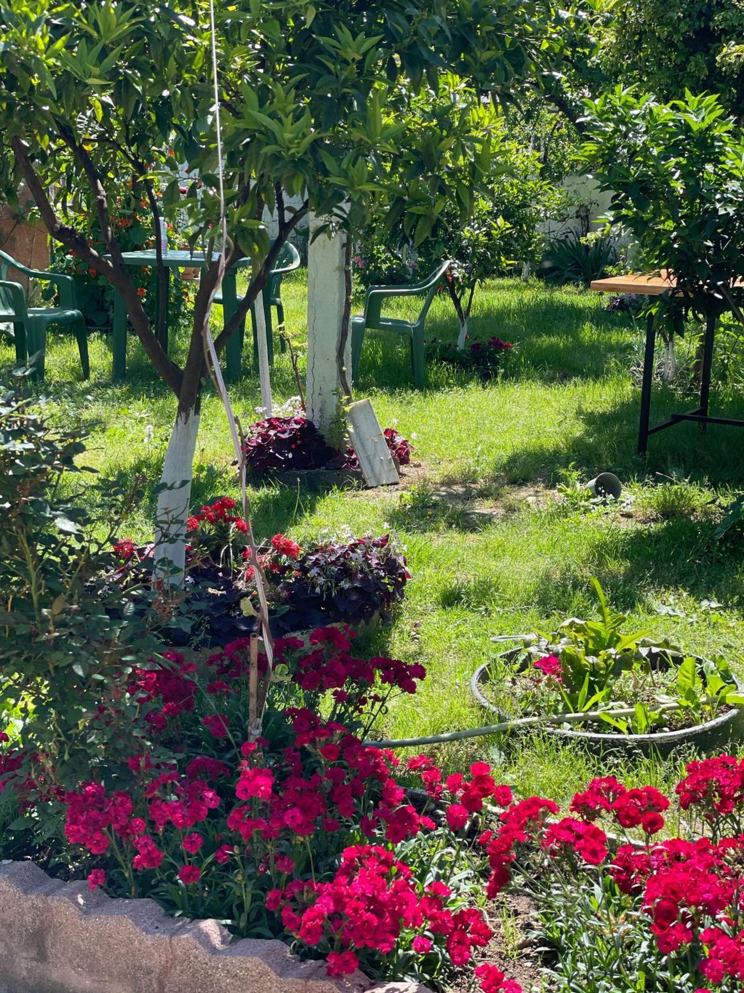 Miracle Garden