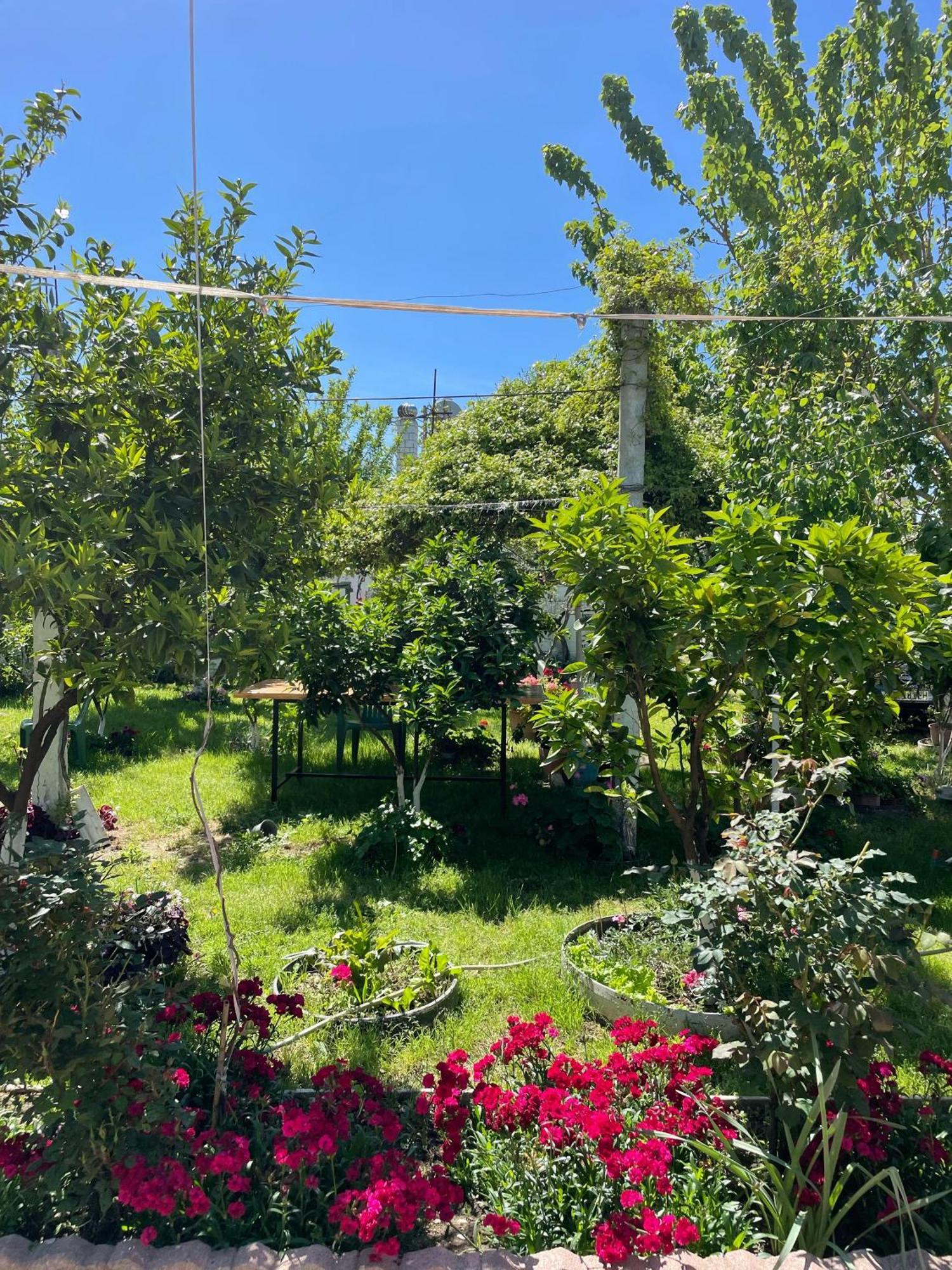 Villa Miracle Garden