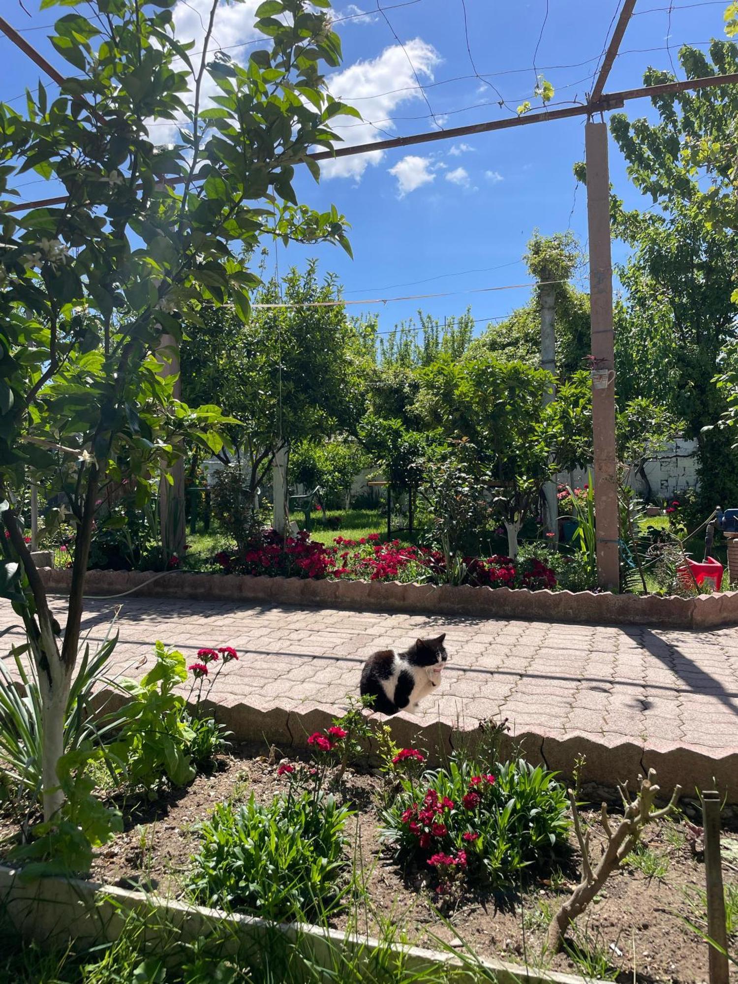 Miracle Garden Villa Vlorë